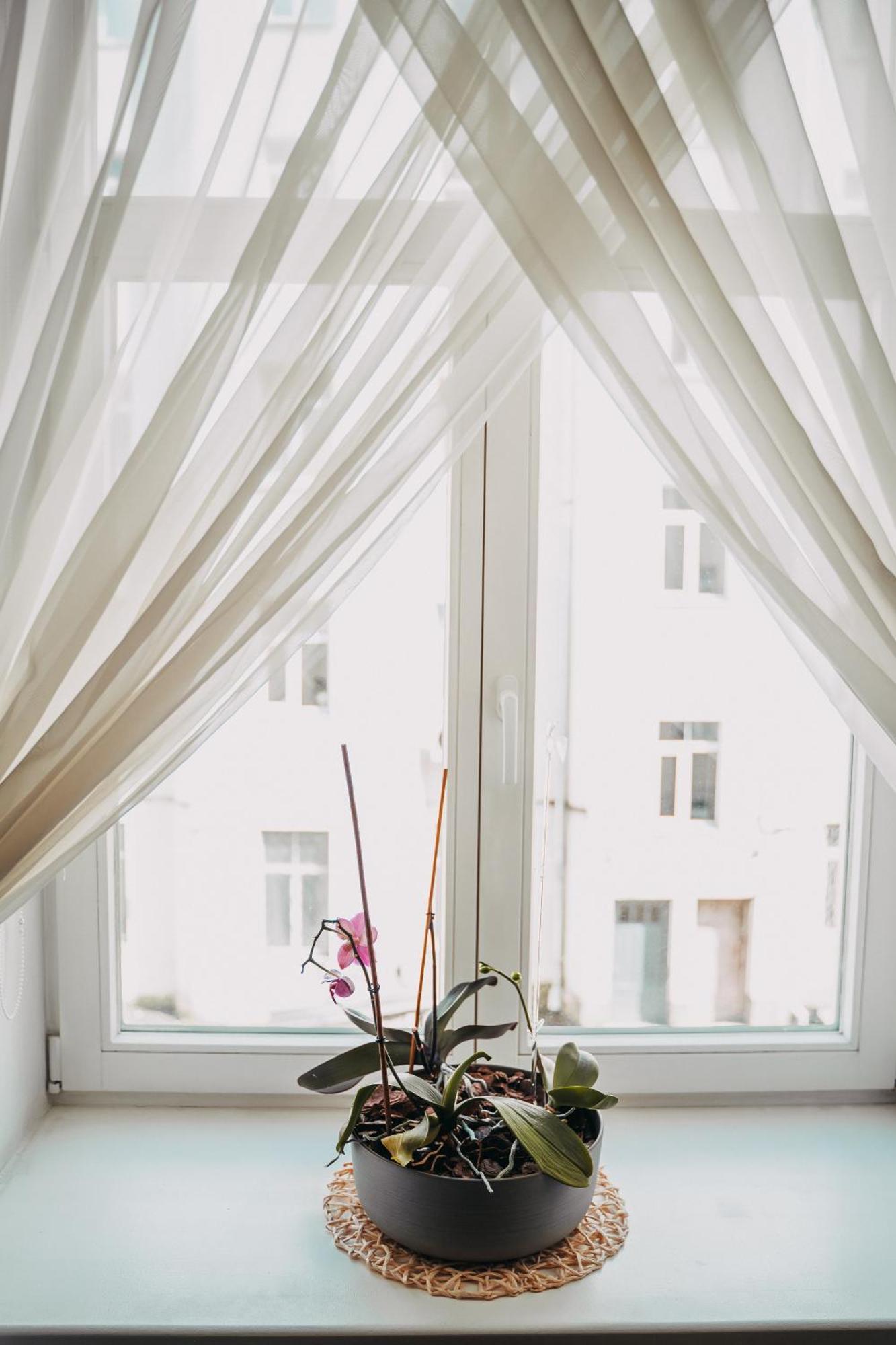 Family Apartment In Riga Center And Free Parking Extérieur photo